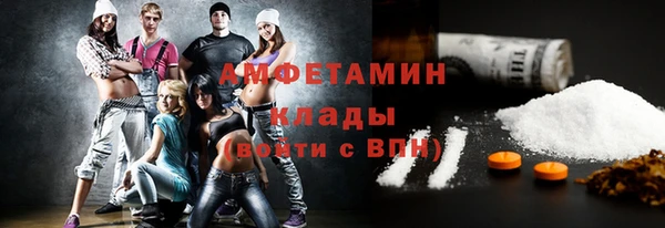 прущие грибы Аркадак