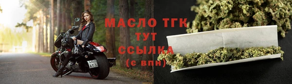 прущие грибы Аркадак