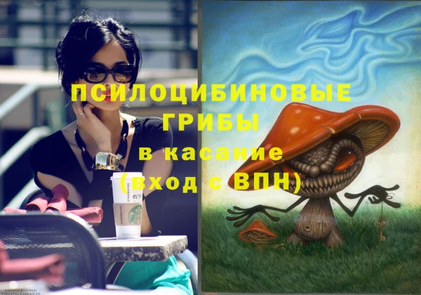 прущие грибы Аркадак