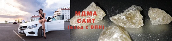 прущие грибы Аркадак