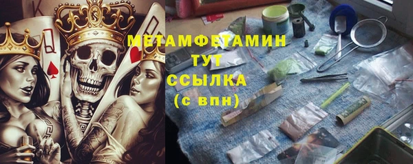 прущие грибы Аркадак