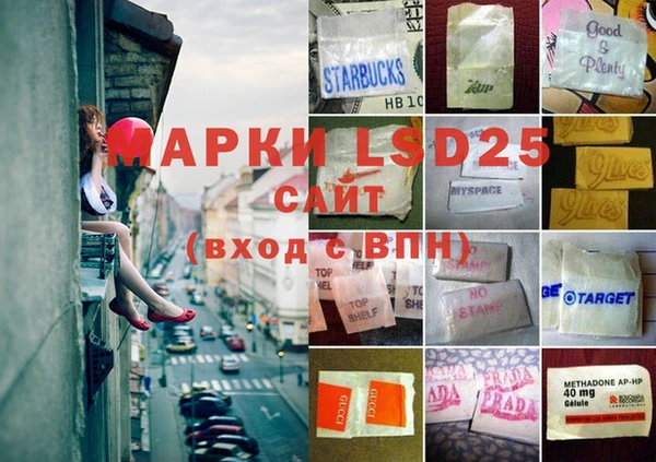 прущие грибы Аркадак