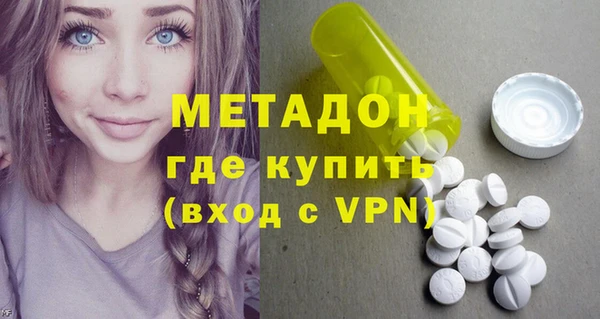 прущие грибы Аркадак