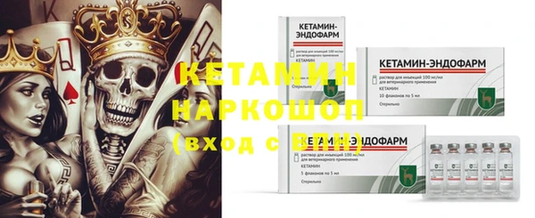 прущие грибы Аркадак