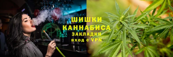 прущие грибы Аркадак