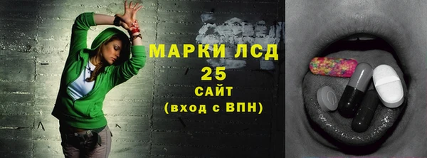 прущие грибы Аркадак